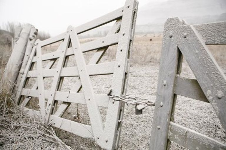 Пепел вулкана Пуйеуэ в Чили Пепел вулкана Пуйеуэ в Чили