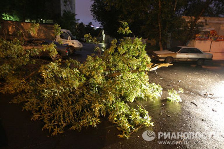 Последствия сильной грозы со шквалистым ветром в Москве Последствия сильной грозы со шквалистым ветром в Москве