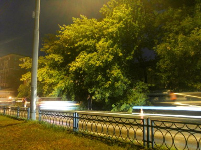 Последствия сильной грозы со шквалистым ветром в Москве Последствия сильной грозы со шквалистым ветром в Москве