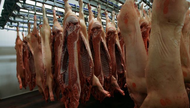 Открытие мясокомбината ОАО Кудряшевское в Новосибирской области. Архив