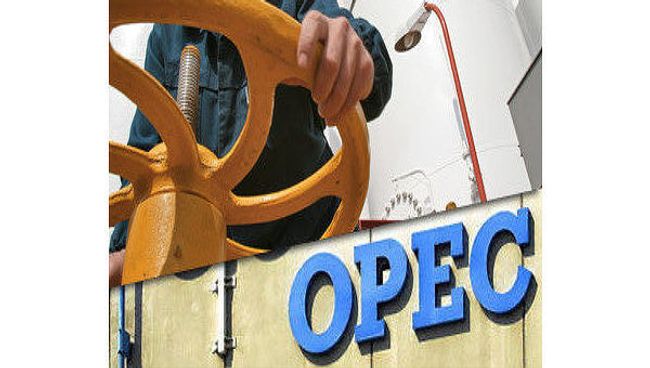Баррель нефти ОПЕК остается выше $42 Баррель нефти ОПЕК остается выше $42