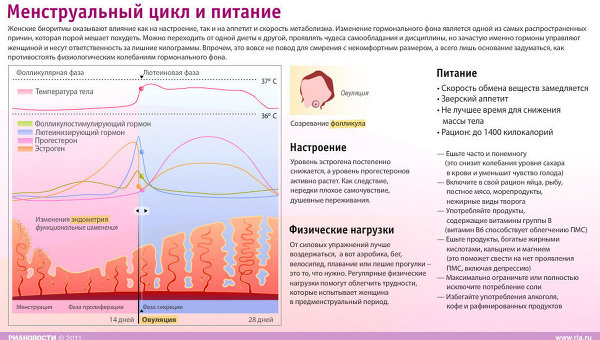 Менструальный цикл и питание