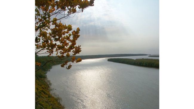 Амур. Архив