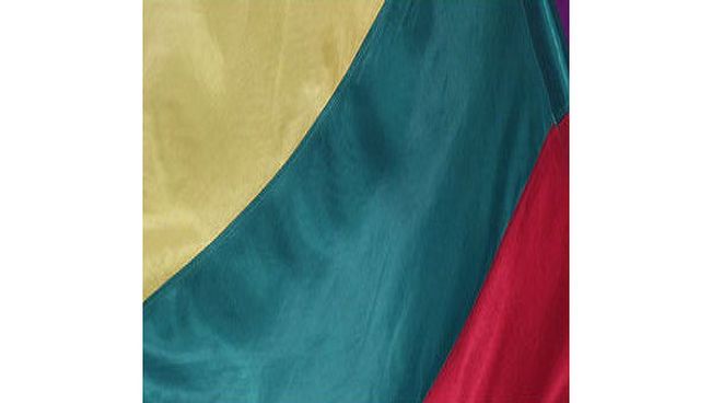 Внешнеторговый оборот Литвы в первом полугодии упал на 38%