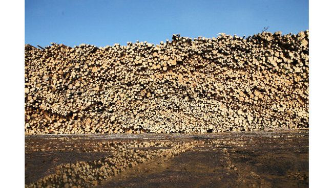 Для устранения крена и спасения судна за борт было сброшено 1,5 тысячи тонн бруса, которые сейчас дрейфуют в Ла-Манше Для устранения крена и спасения судна за борт было сброшено 1,5 тысячи тонн бруса, которые сейчас дрейфуют в Ла-Манше