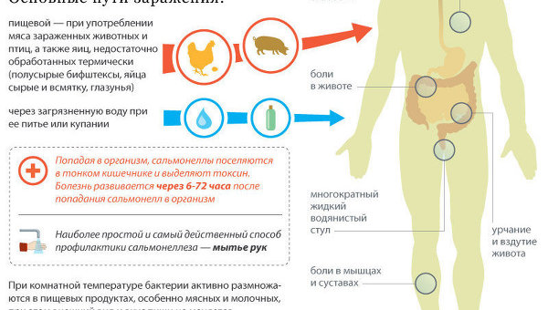Сальмонеллез: распространение, профилактика, лечение Сальмонеллез: распространение, профилактика, лечение