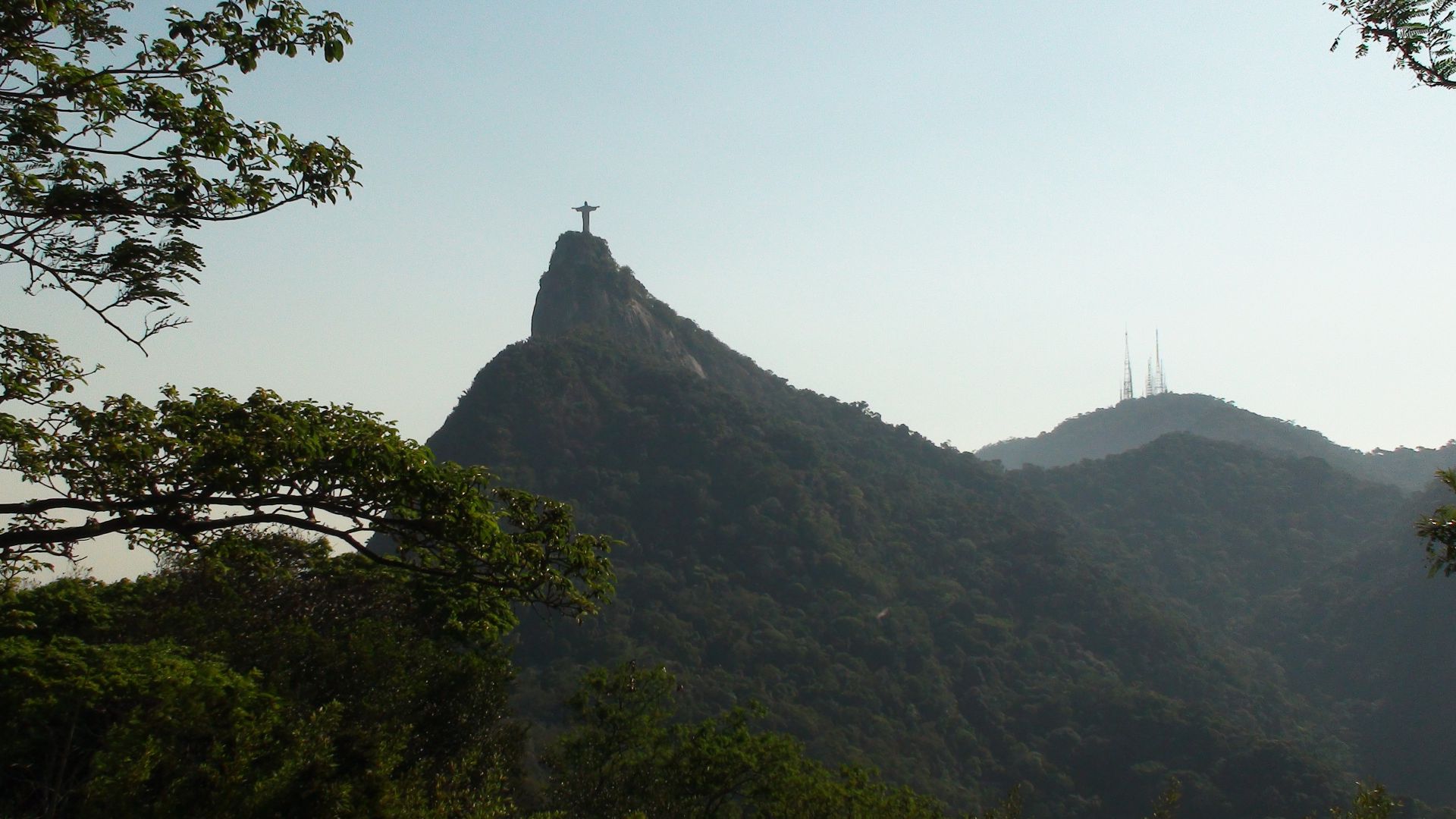 Вид на тропический лес в Бразилии Вид на тропический лес в Бразилии - РИА Новости, 1920, 14.02.2025