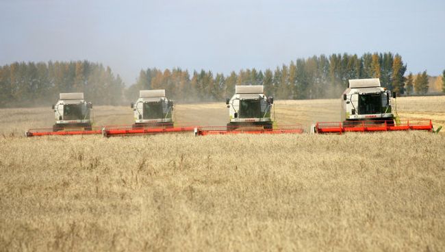 Уборка зерновых Уборка зерновых