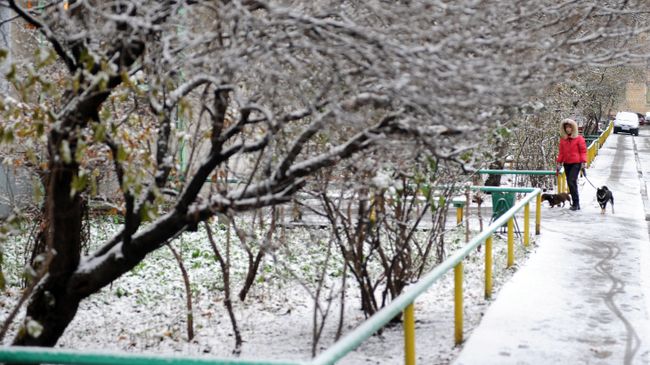 Прогулка