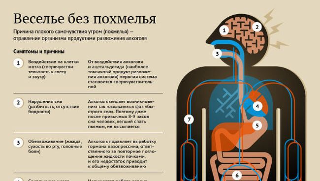 Советы по профилактике и лечению похмелья Советы по профилактике и лечению похмелья