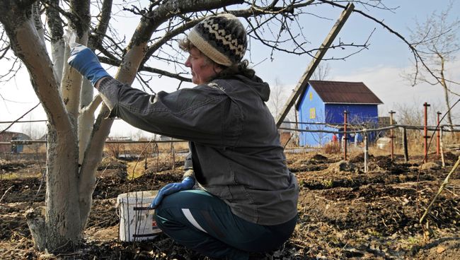 Начало дачного сезона Начало дачного сезона