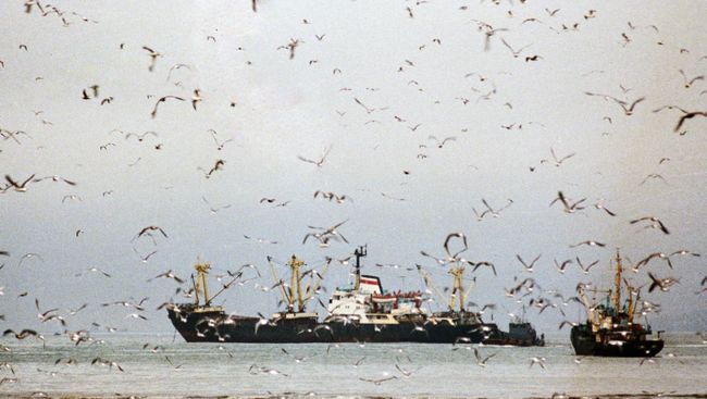 Рыболовецкие судна в море. Архивное фото Рыболовецкие судна в море. Архивное фото