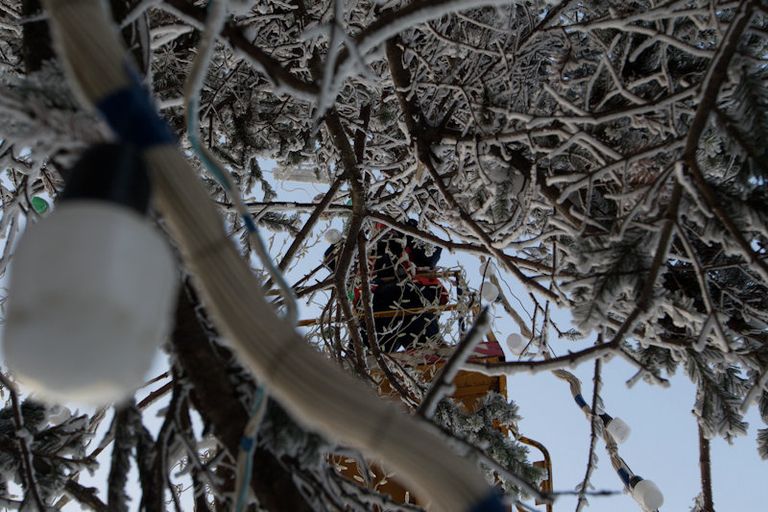 Томские коммунальщики нарядили главную городскую елку