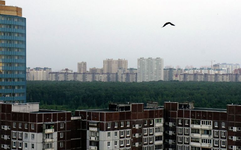 Представлен проект строительства зоопарка в Юнтолово Представлен проект строительства зоопарка в Юнтолово