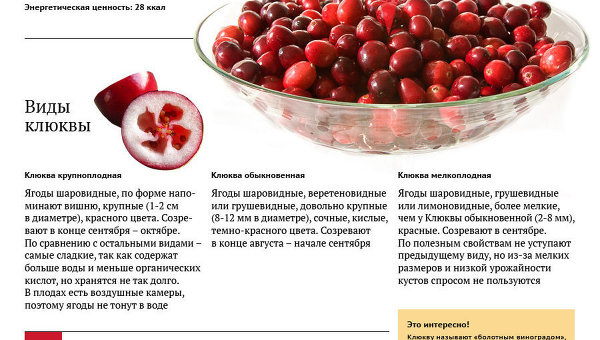 Болотный виноград, или Ликбез о клюкве