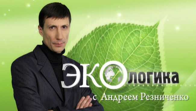 Арктика-2012: экологи vs бизнес Арктика-2012: экологи vs бизнес
