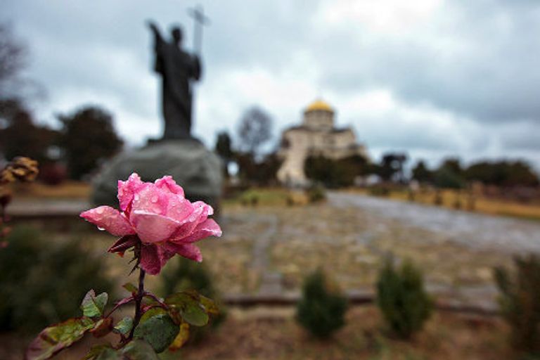 Цветы в январе: аномально теплая зима в Севастополе Цветы в январе: аномально теплая зима в Севастополе