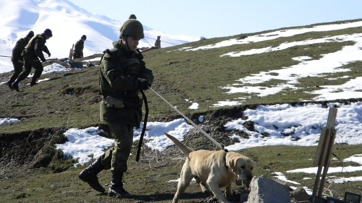 Военнослужащие 201-й российской военной базы в Таджикистане на полигоне Ляур Военнослужащие 201-й российской военной базы в Таджикистане на полигоне Ляур - РИА Новости, 1920, 18.01.2022