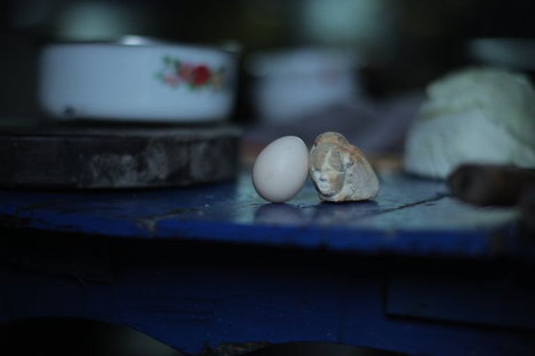 Кадр из фильма Яйцо и камень (Egg and Stone) Кадр из фильма Яйцо и камень (Egg and Stone)