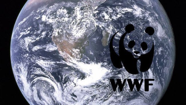 WWF приветствует передачу сферы охоты в ведение Минприроды РФ