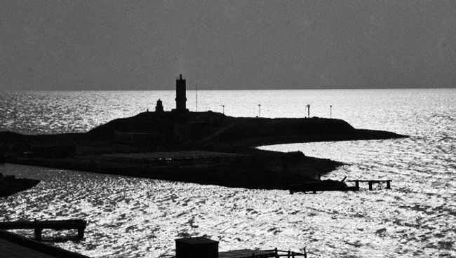 Жалобы на эконарушения в Утрише шлют подставные лица - Росприроднадзор