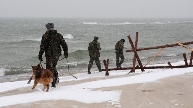 Пограничники с собакой патрулируют границу с Литвой в районе Куршской косы Пограничники с собакой патрулируют границу с Литвой в районе Куршской косы
