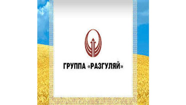 Группа «Разгуляй». Архив