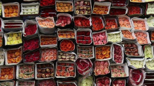 Продажа цветов к празднику 8 Марта
