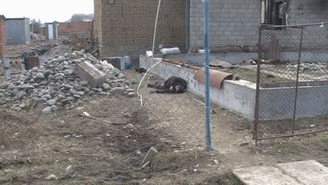Спецоперация в селе Новосаситли в Дагестане Спецоперация в селе Новосаситли в Дагестане