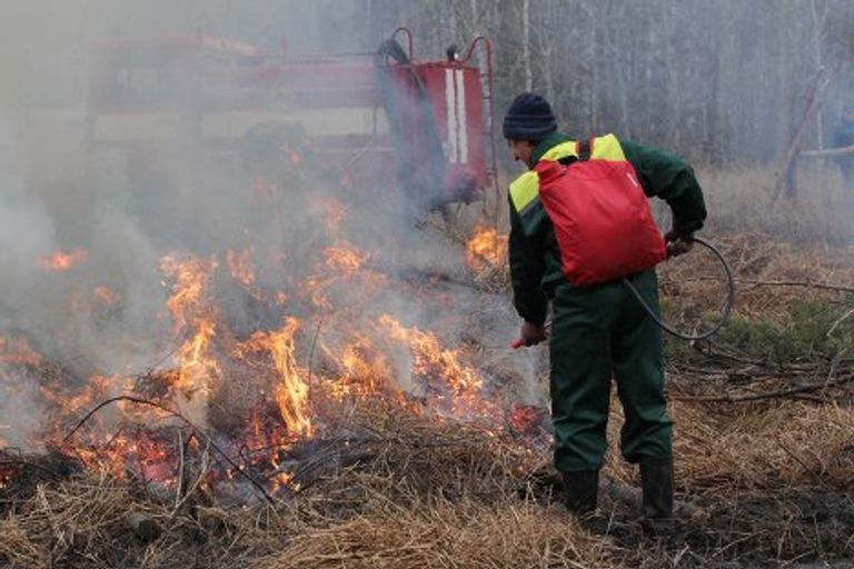 К лету готовы: в Омске прошли учения по ликвидации лесных пожаров К лету готовы: в Омске прошли учения по ликвидации лесных пожаров