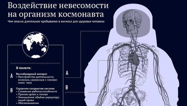 Воздействие невесомости на организм космонавта Воздействие невесомости на организм космонавта