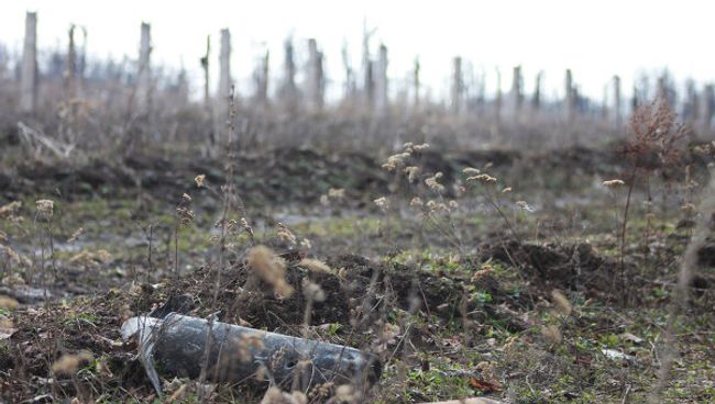 Cнаряды в лесу близ поселка Урман в Башкирии Cнаряды в лесу близ поселка Урман в Башкирии