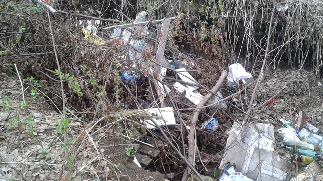 Свалка в лесу Свалка в лесу