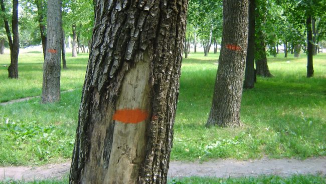 Белгород память город мемориал благоустройство