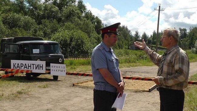 Масштабные учения по борьбе с африканской чумой свиней прошли под Костромой. Архивное фото