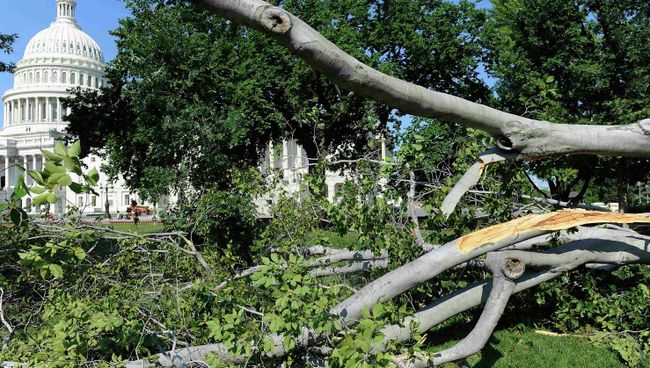 Последствия шторма в Вашингтоне Последствия шторма в Вашингтоне