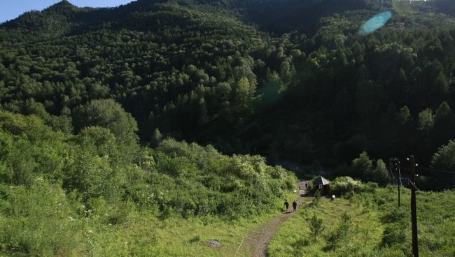 Долина реки Ануй, где расположена Денисова пещера. Архив Долина реки Ануй, где расположена Денисова пещера. Архив