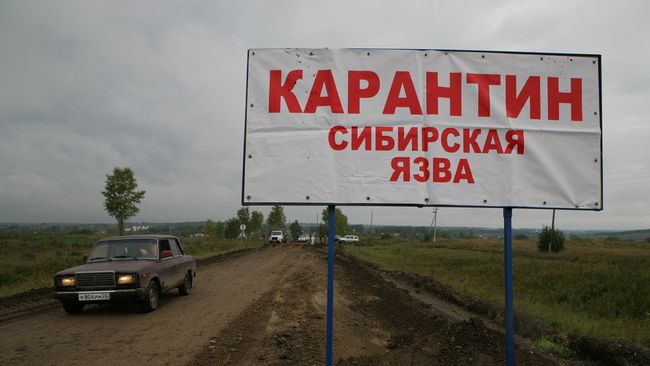 Меры, предпринимаемые в связи со вспышкой сибирской язвы в Алтайском крае