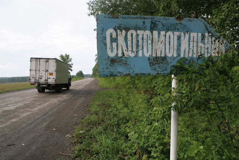 Вспышка сибирской язвы в Алтайском крае Вспышка сибирской язвы в Алтайском крае