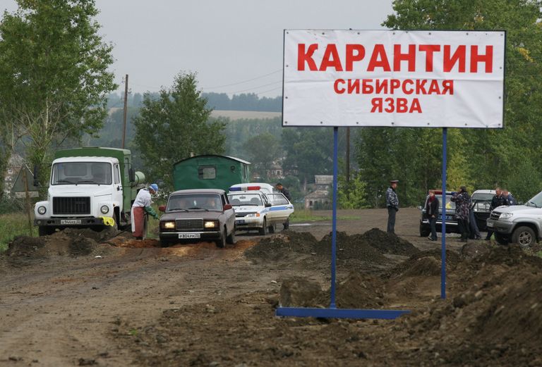 Карантинный пост на подъезде к селам Марушка и Дружба в Целинном районе Алтайского края. 2012 год Карантинный пост на подъезде к селам Марушка и Дружба в Целинном районе Алтайского края. 2012 год