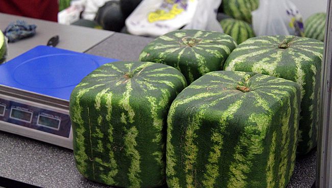 Краснодар выставка ярмарка сельское хозяйство Кубань