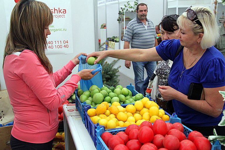 Краснодар выставка ярмарка сельское хозяйство Кубань Краснодар выставка ярмарка сельское хозяйство Кубань