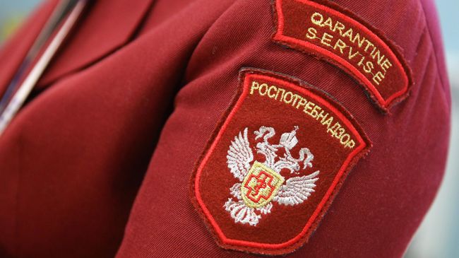 Роспотребнадзор проведет меры против распространения сыпного тифа