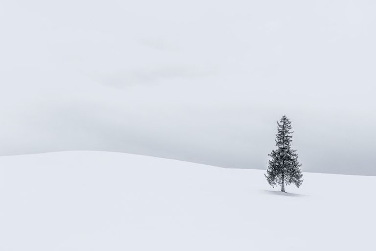 Anthony Lawrence. Работа победителя конкурса Photographer of the Year by Panasonic Anthony Lawrence. Работа победителя конкурса Photographer of the Year by Panasonic