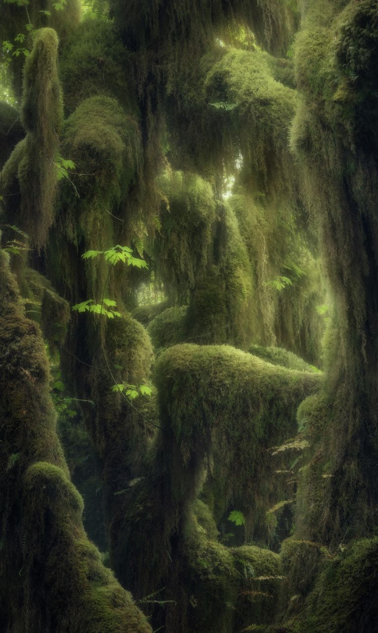 Blake Randall. Работа победителя конкурса The International Landscape Photographer of the Year 2019 Blake Randall. Работа победителя конкурса The International Landscape Photographer of the Year 2019
