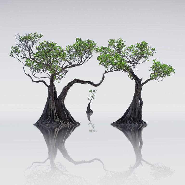 Wong Choon Keat. ТОП-101 конкурса The International Landscape Photographer of the Year 2019 Wong Choon Keat. ТОП-101 конкурса The International Landscape Photographer of the Year 2019