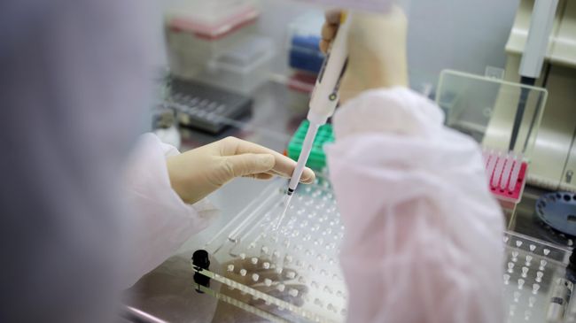 Тест-системы для диагностики нового коронавируса Тест-системы для диагностики нового коронавируса