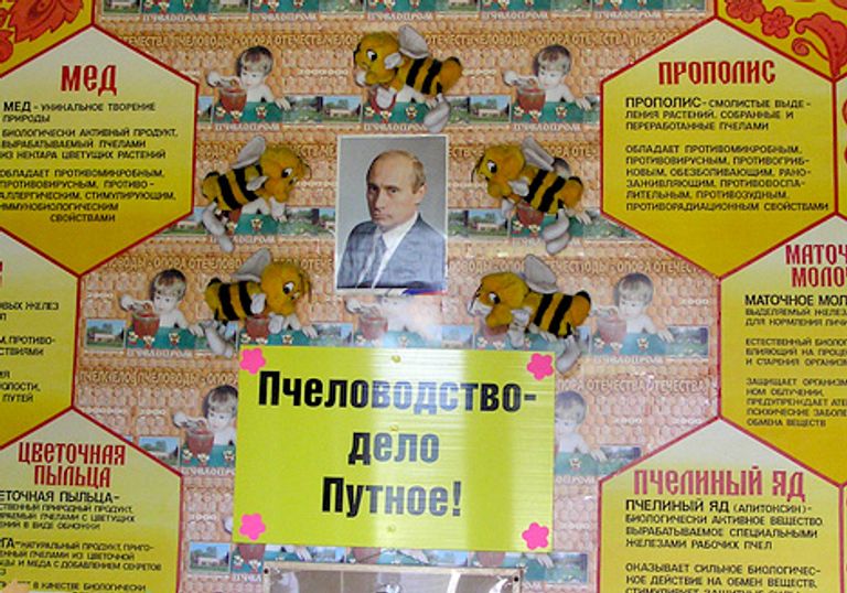 Фото Игнаткина Александра Фото Игнаткина Александра