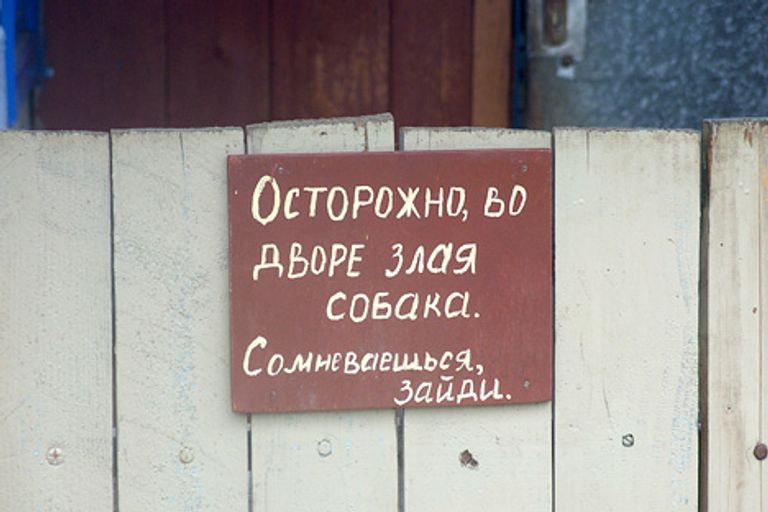 Фото Федора Гороховского Фото Федора Гороховского