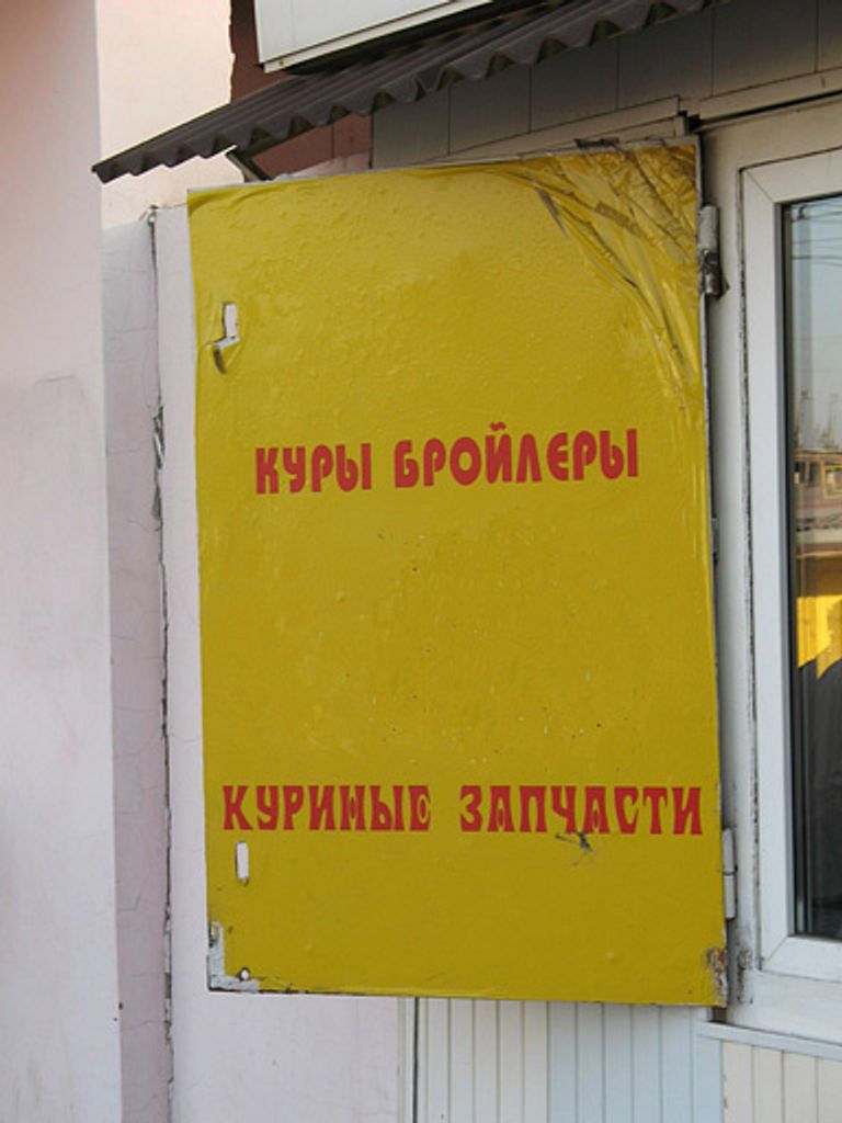 Фото Романа Кондрашина Фото Романа Кондрашина